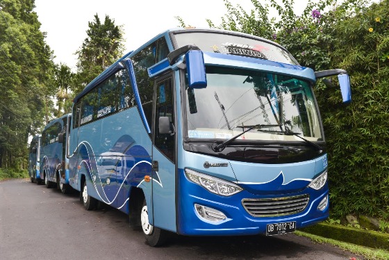 BUS PARIWISATA